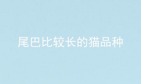 尾巴比较长的猫品种