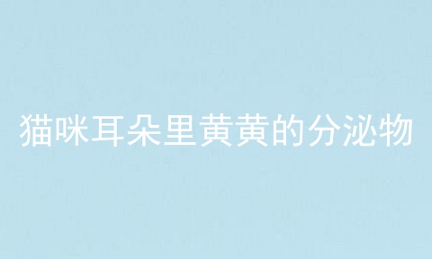 猫咪耳朵里黄黄的分泌物