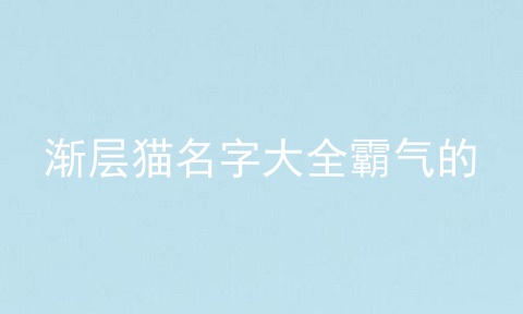 渐层猫名字大全霸气的