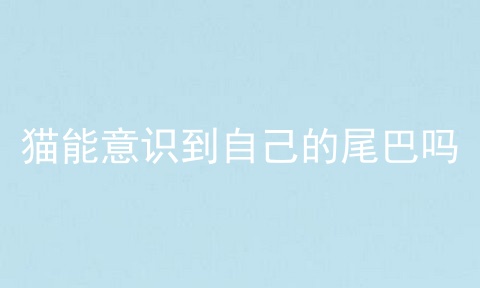 猫能意识到自己的尾巴吗