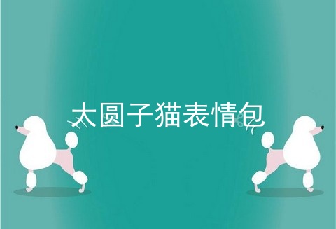 大圆子猫表情包