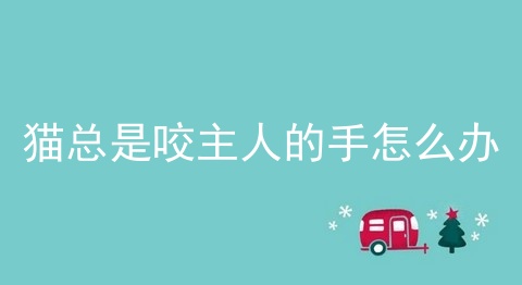 猫总是咬主人的手怎么办