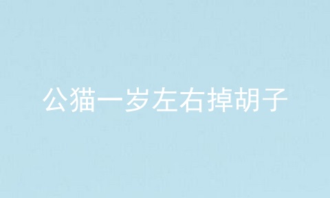 公猫一岁左右掉胡子
