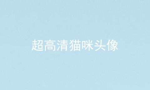 超高清猫咪头像