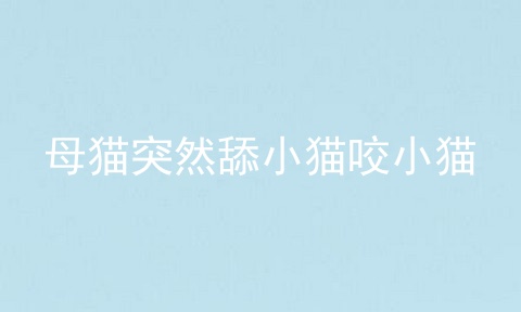 母猫突然舔小猫咬小猫