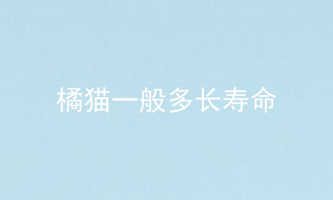 橘猫一般多长寿命