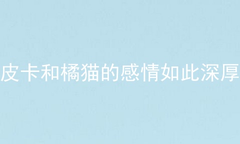 皮卡和橘猫的感情如此深厚