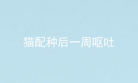 猫配种后一周呕吐