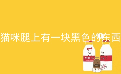 猫咪腿上有一块黑色的东西