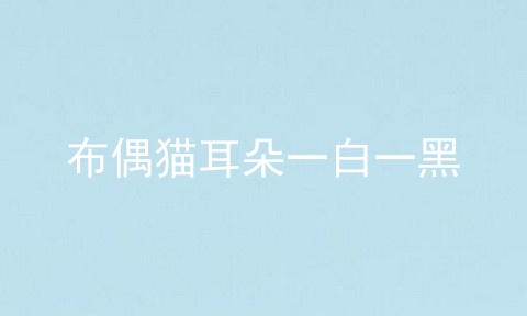 布偶猫耳朵一白一黑