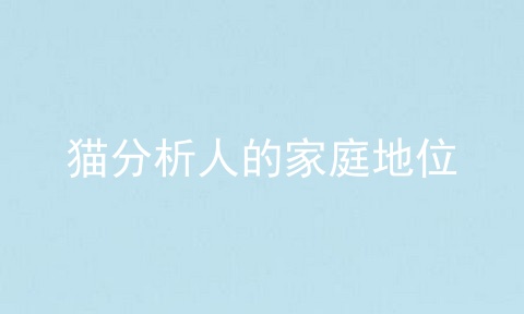 猫分析人的家庭地位