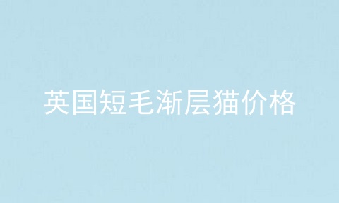 英国短毛渐层猫价格