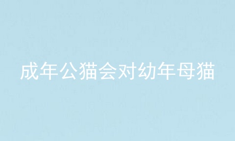 成年公猫会对幼年母猫