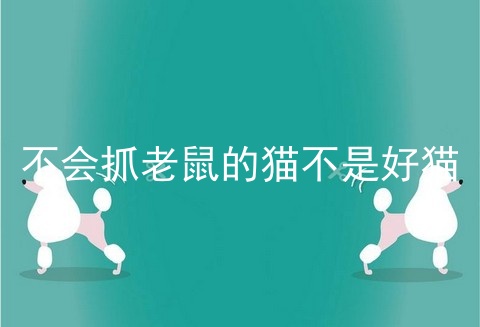 不会抓老鼠的猫不是好猫