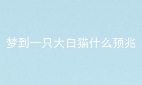 梦到一只大白猫什么预兆
