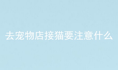 去宠物店接猫要注意什么