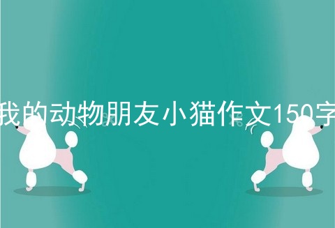 我的动物朋友小猫作文150字
