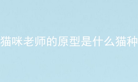 猫咪老师的原型是什么猫种