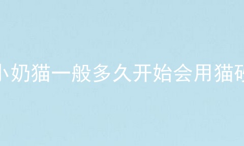 小奶猫一般多久开始会用猫砂