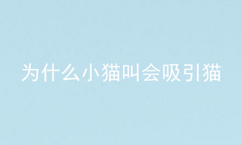 为什么小猫叫会吸引猫