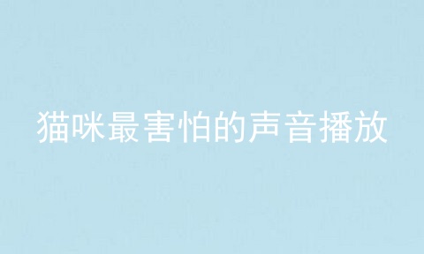 猫咪最害怕的声音播放