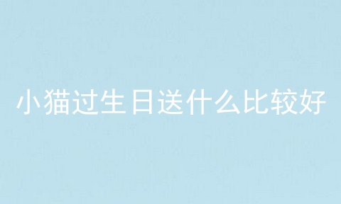 小猫过生日送什么比较好