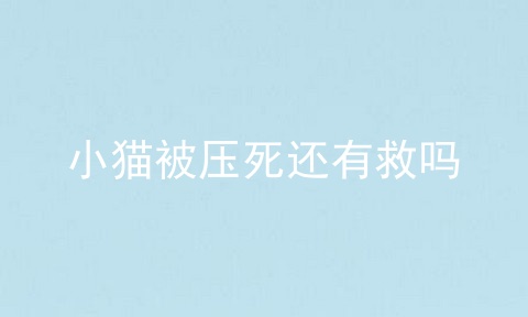 小猫被压死还有救吗