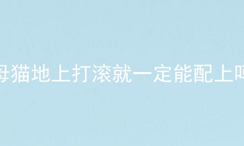 母猫地上打滚就一定能配上吗