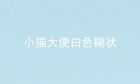 小猫大便白色糊状