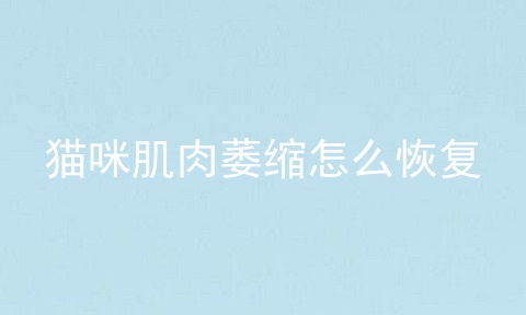 猫咪肌肉萎缩怎么恢复