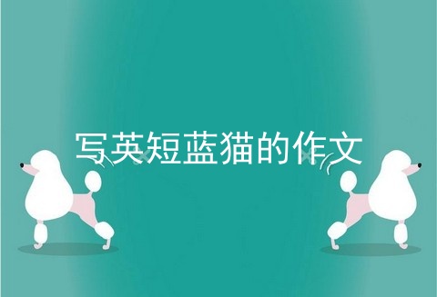 写<a href=/cat/13.html target=_blank class=infotextkey>英短</a>蓝猫的作文
