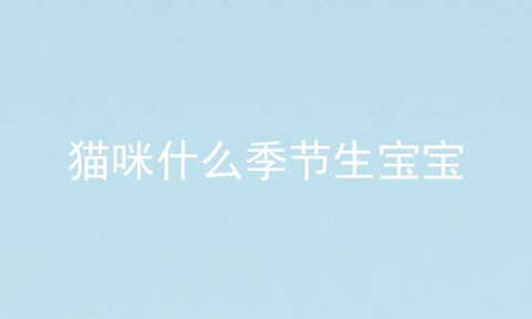 猫咪什么季节生宝宝