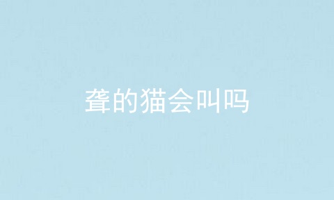 聋的猫会叫吗