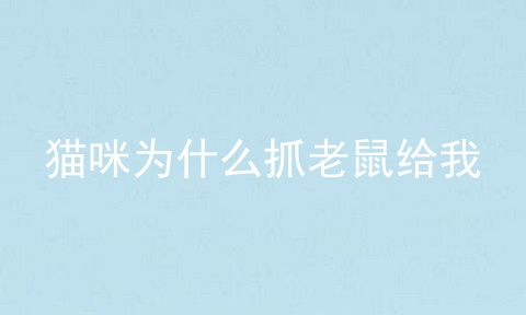 猫咪为什么抓老鼠给我