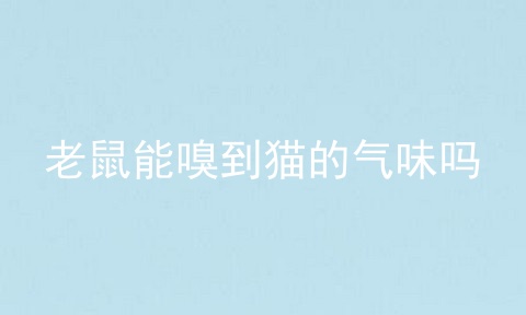 老鼠能嗅到猫的气味吗