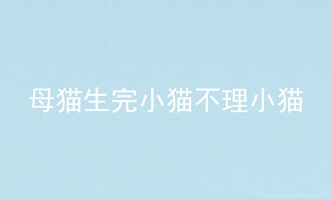母猫生完小猫不理小猫