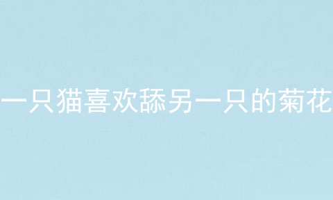 一只猫喜欢舔另一只的菊花