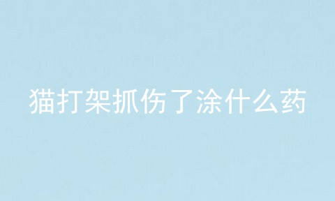 猫打架抓伤了涂什么药