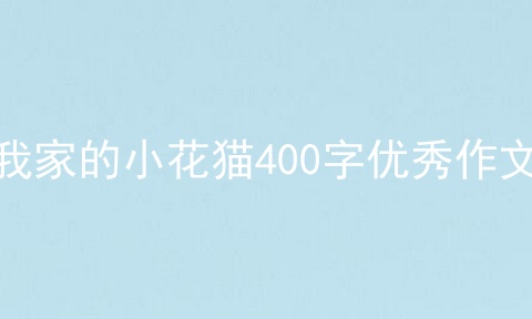 我家的小花猫400字优秀作文