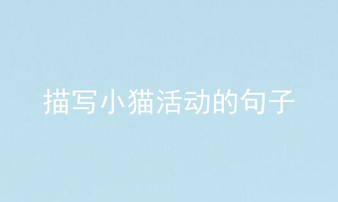 描写小猫活动的句子
