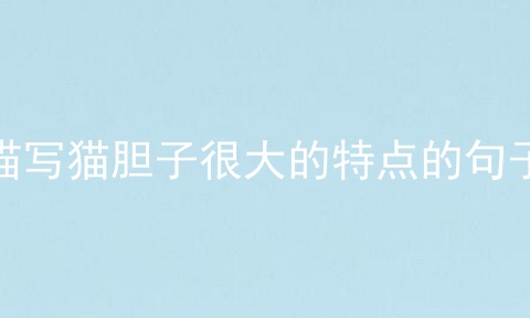 描写猫胆子很大的特点的句子