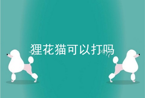 狸花猫可以打吗