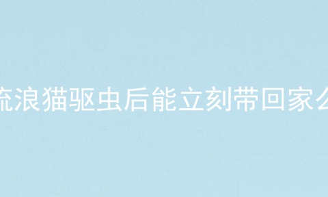 流浪猫驱虫后能立刻带回家么