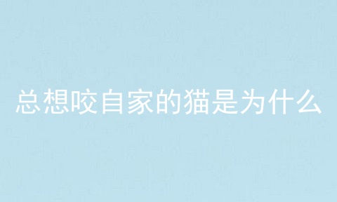 总想咬自家的猫是为什么