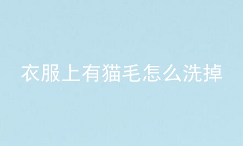 衣服上有猫毛怎么洗掉