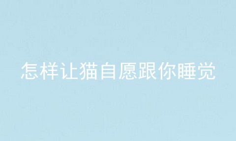 怎样让猫自愿跟你睡觉