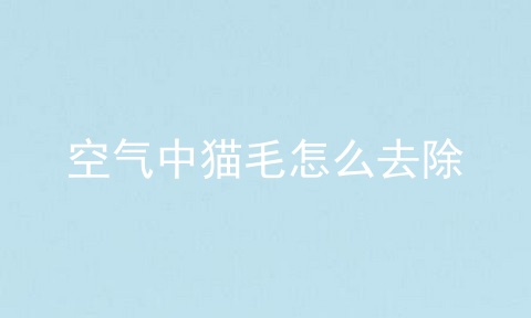 空气中猫毛怎么去除