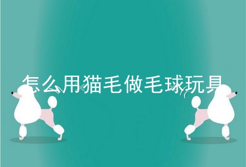 怎么用猫毛做毛球玩具