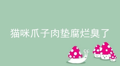 猫咪爪子肉垫腐烂臭了