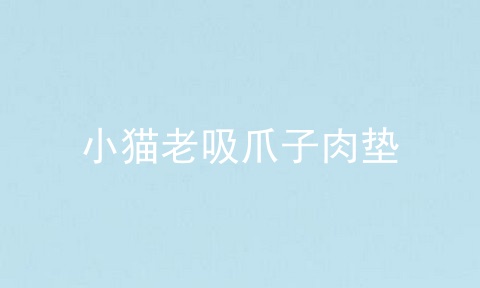 小猫老吸爪子肉垫